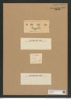 Biddulphia pulchella Gray (de-Toni-Nr.: Genus 123, Species 3466) Zeichnungen Sammlung Grunow Nr. 6949 (NHMW-BOT-W0375843)